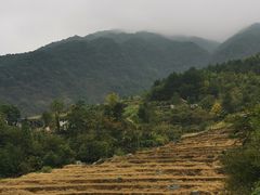 -石台牯牛降景区