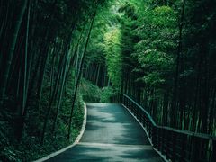 -天目湖御水温泉·度假酒店