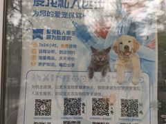 -纳吉亚猫专科动物诊疗中心(蒋宅口分院)