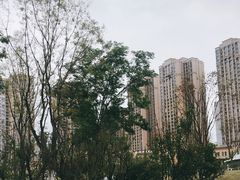 -府河摄影公园
