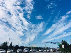 -中关村生命科学园