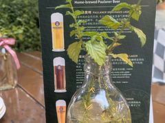 -宝莱纳餐厅(滨江店)