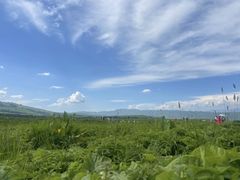 -新疆那拉提国家旅游度假区