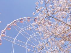 -顾村公园3号门停车场