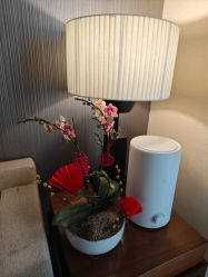 -新寰亚月子会所(盛捷白塘店)