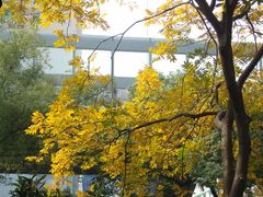 -浙江省杭州高级中学(贡院校区)