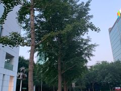 -微软亚太研发集团大厦(微软总部)