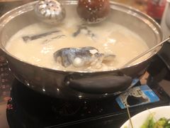 鲫鱼汤东方红天麻鱼头煲-深德天麻鱼头(星宝店)