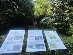 -都江堰中华大熊猫苑