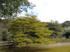 -广州雕塑公园