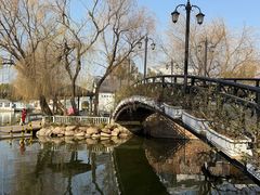 -J Create城市露营咖啡·简餐·宠物(上海动物园店)