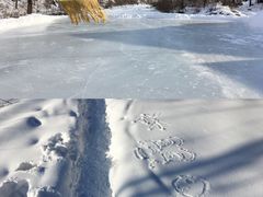 -雪谷