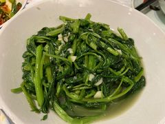 空心菜叶-壹盏灯(惠农店)