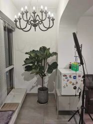 -净漪造型 PURE RIPPLE