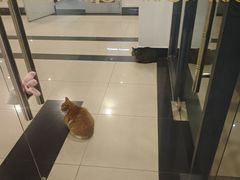 -东华大学(松江校区)