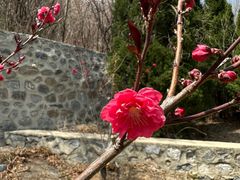 -金龙寺国家森林公园