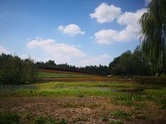 -梁鸿国家湿地公园