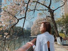 -成都市活水公园