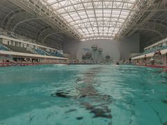 -广西体育中心-游泳馆