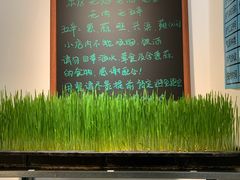 -朵朵开素食餐厅(后宰门街店)