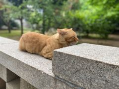 -青岛崂山太清宫
