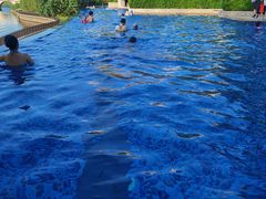 -采粤轩中餐厅(惠州金海湾喜来登度假酒店)