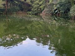 -荔香公园