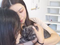 -团子家猫咪猫咖馆·柯基·柯尔鸭