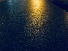 -暨阳湖生态园