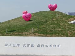 -荷兰花海