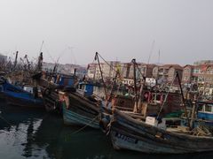 -青岛沙子口国家中心渔港