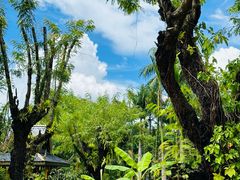 -西双版纳傣族园