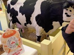 -红星前进面包牛奶公司(君太店)