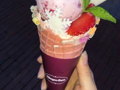 -哈根达斯(武汉天地店)