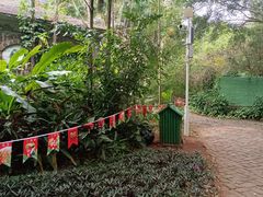 -海南热带野生动植物园