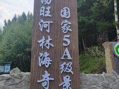 -汤旺河林海奇石景区