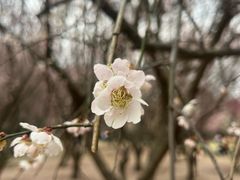 -蜀冈西峰生态公园