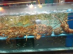 -阿伟海鲜楼·福建菜(延寿店)