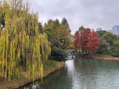 -尚贤河湿地