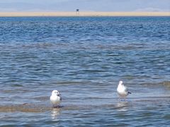 -青海湖国家重点风景名胜区