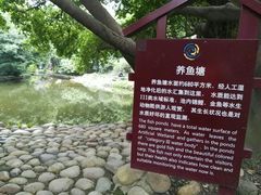 -成都市活水公园