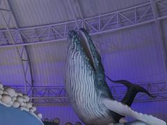 -烟台海昌鲸鲨海洋公园