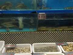 -红高粱大酒店(宁山东路店)