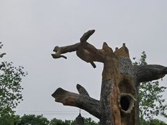 -云幽谷旅游区