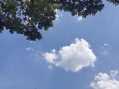 -雅苑中餐厅