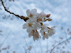 -龙美术馆(西岸馆)