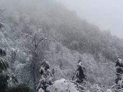 -九峰山