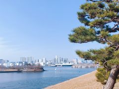 -台场海滨公园船码头