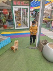 -萌宠亲子动物乐园(槐房万达店)
