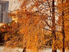 -肥妹烧腊店(洪湖店)